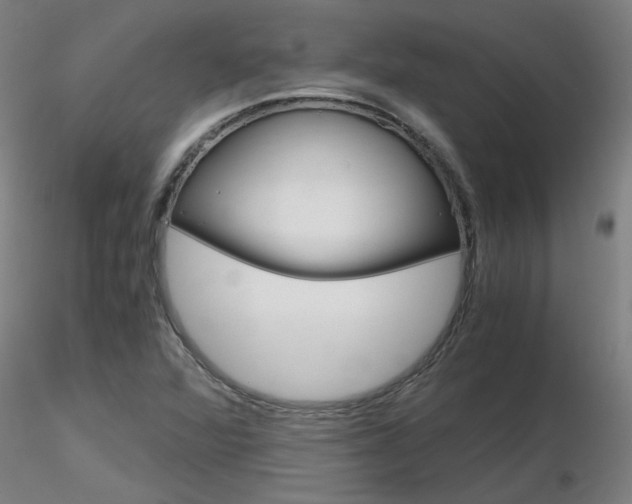X0000116801360200912181108