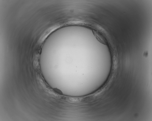X0000116801361200912181108