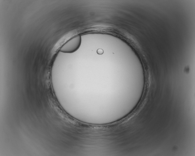 X0000116801362200912181108