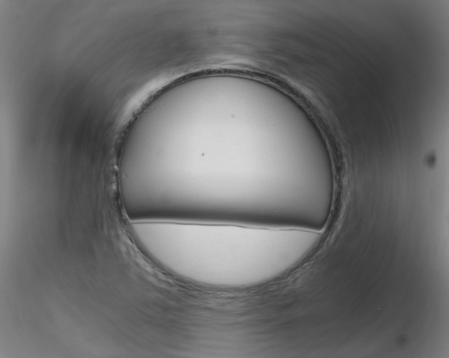 X0000116801363200912181108