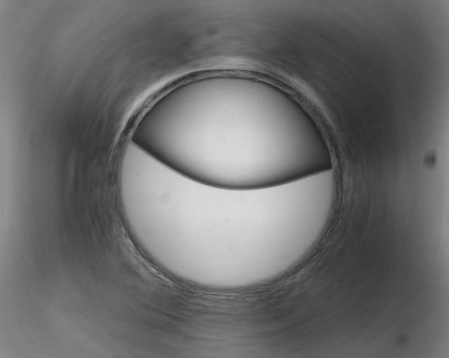 X0000116801364200912181108