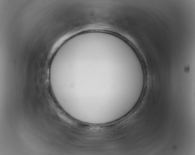 X0000116801366200912181108