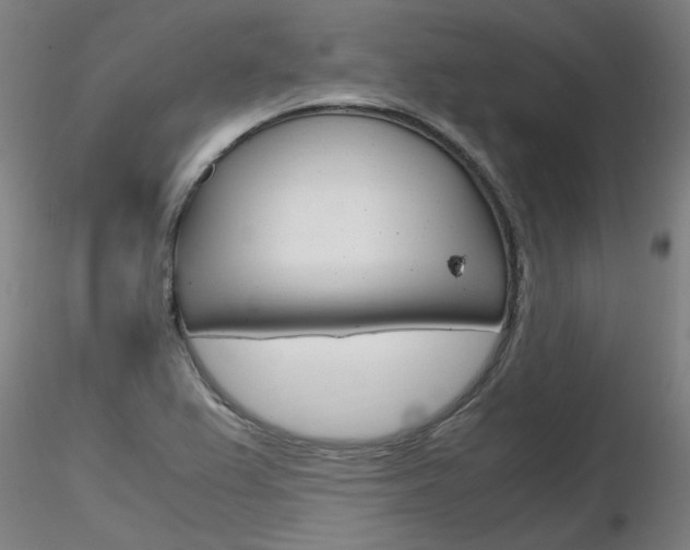 X0000116801367200912181108
