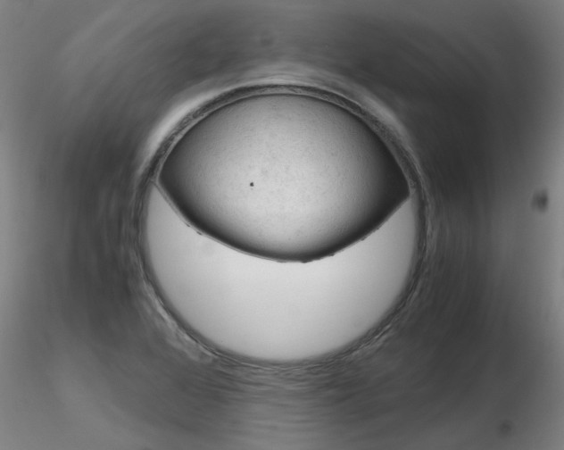 X0000116801368200912181108