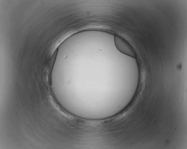 X0000116801369200912181108