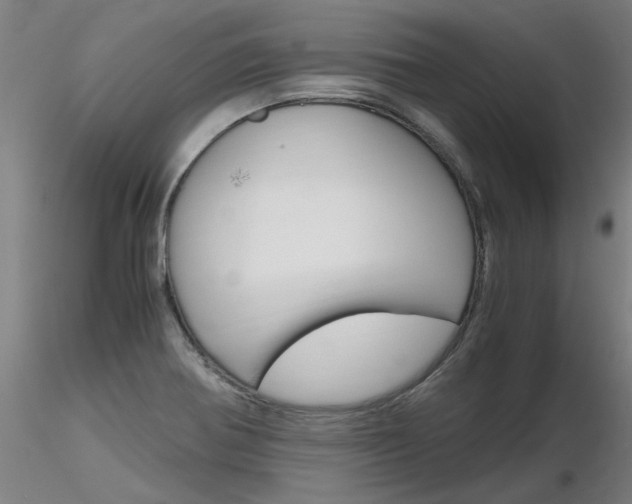 X0000116801370200912181108