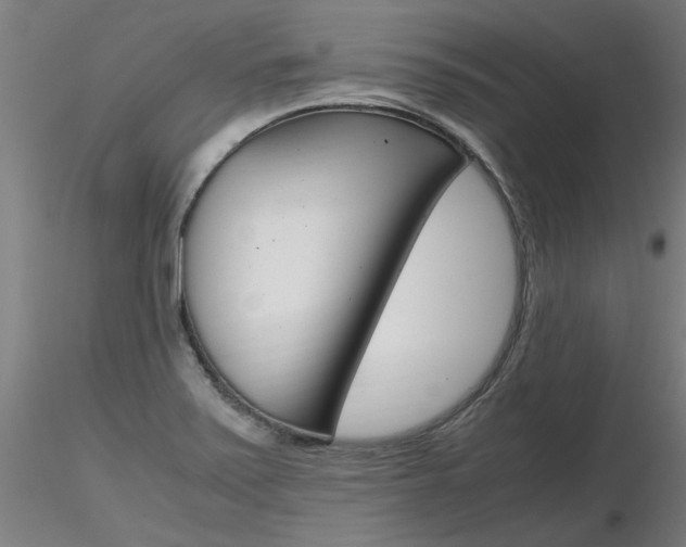 X0000116801371200912181108