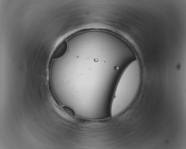 X0000116801372200912181108