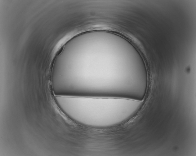 X0000116801373200912181108