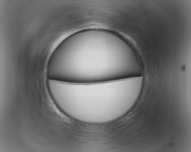 X0000116801375200912181108