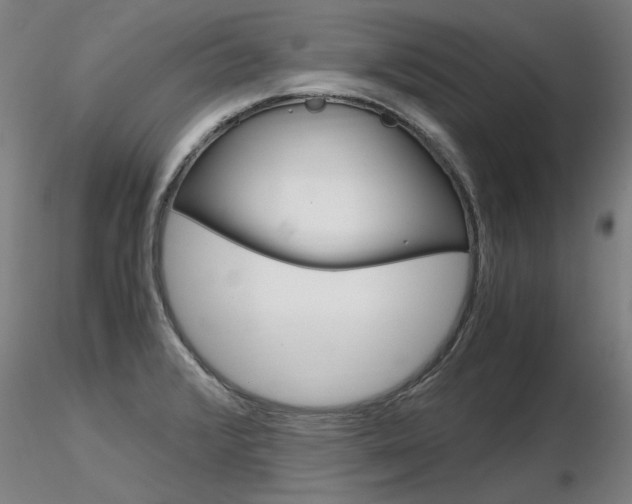 X0000116801376200912181108