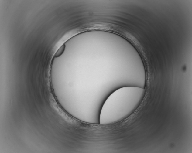 X0000116801378200912181108