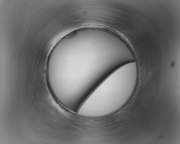 X0000116801379200912181108