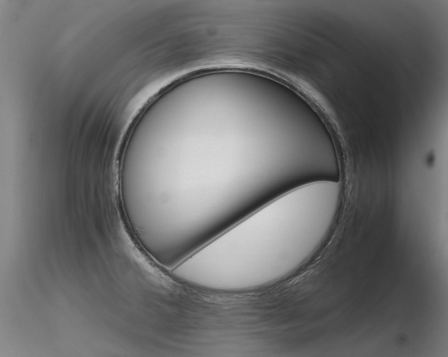 X0000116801380200912181108