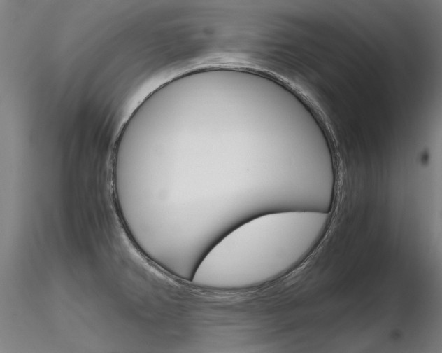 X0000116801382200912181108