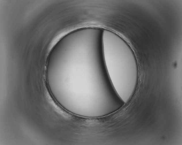 X0000116801383200912181108