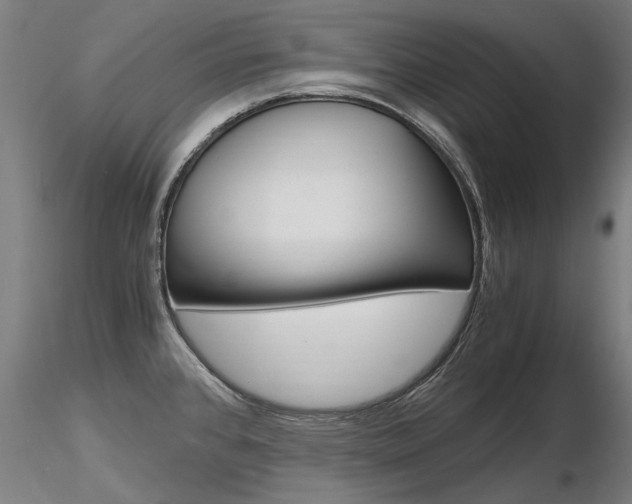 X0000116801384200912181108