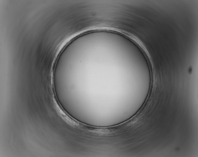 X0000116801388200912181108