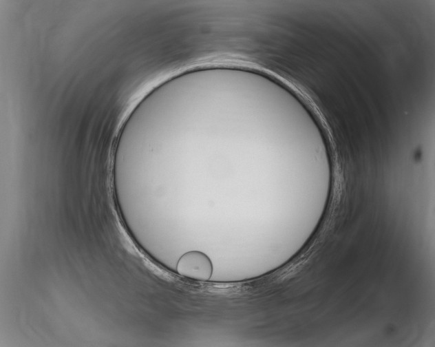 X0000116801390200912181108