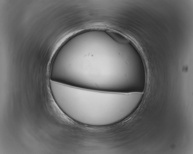 X0000116801392200912181108
