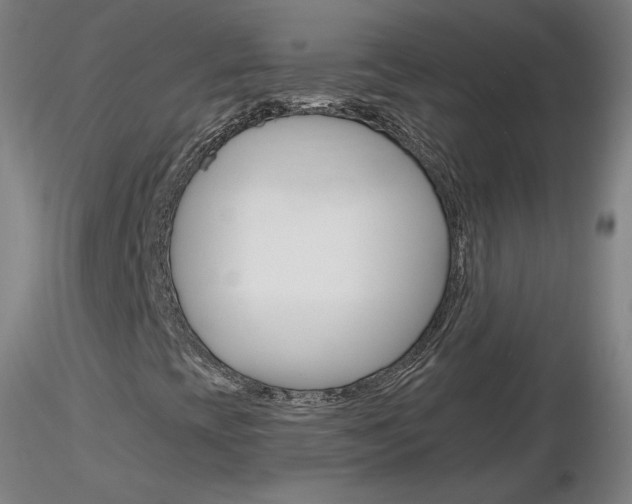 X0000116801393200912181107