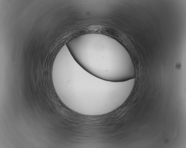 X0000116801394200912181107