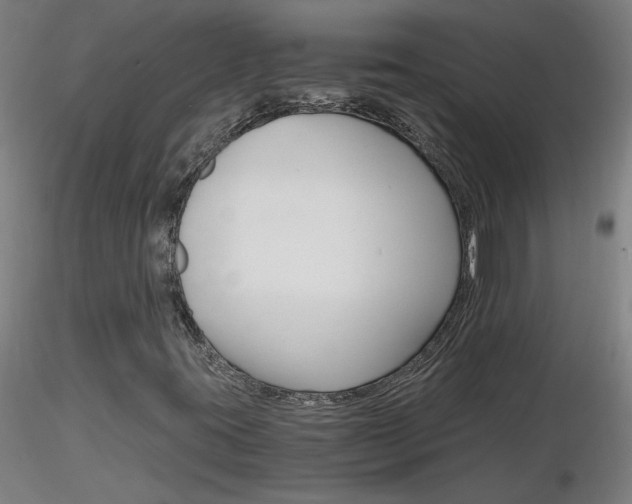 X0000116801395200912181107