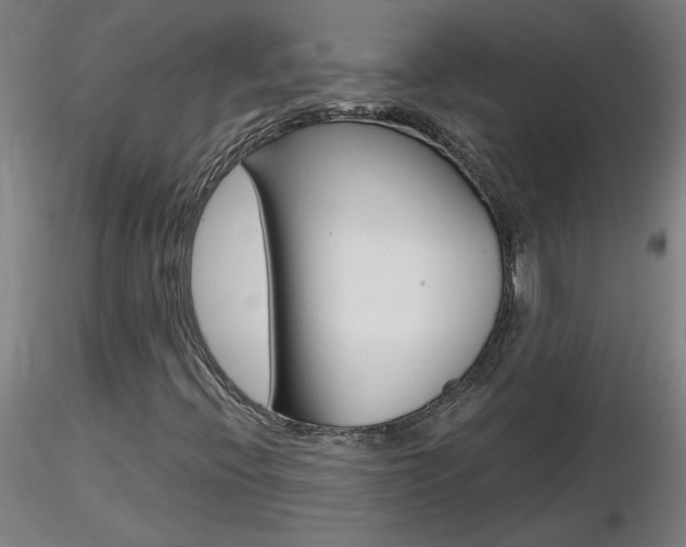 X0000116801396200912181107