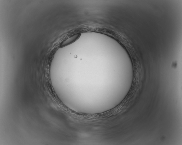 X0000116801397200912181107