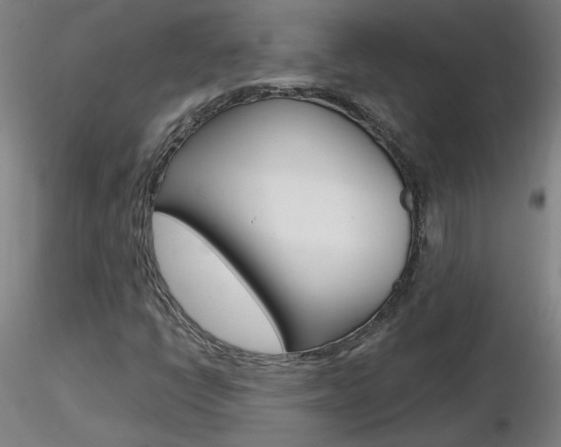X0000116801398200912181107