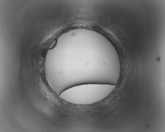 X0000116801399200912181107