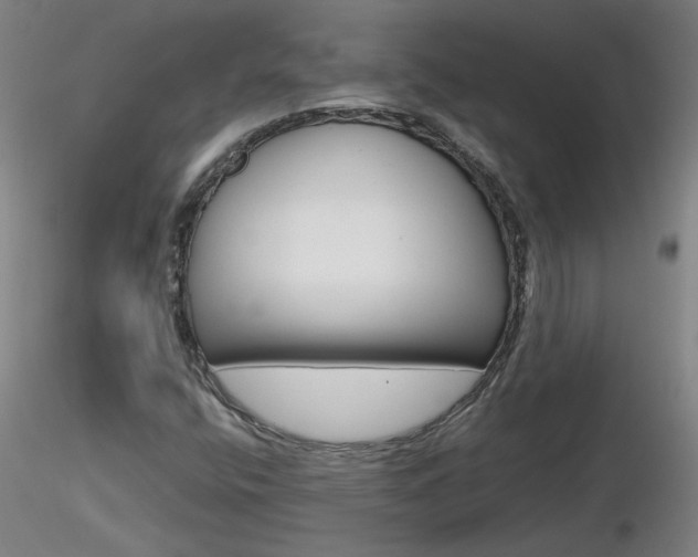X0000116801400200912181107