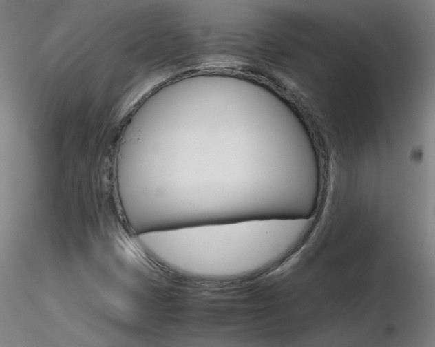 X0000116801401200912181107