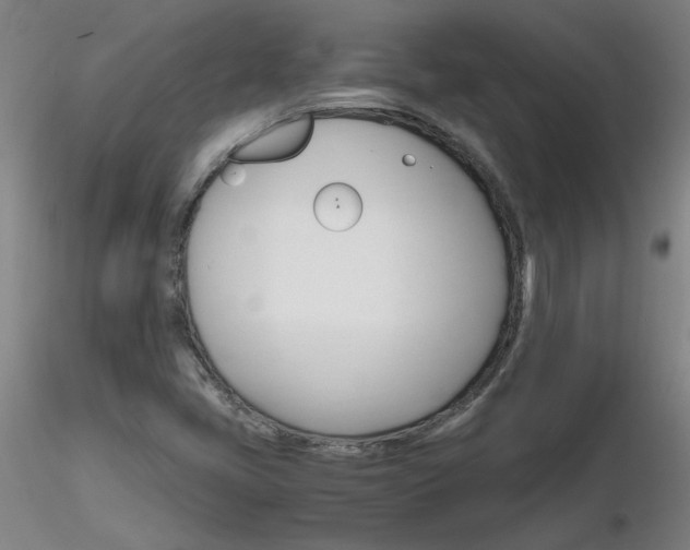 X0000116801405200912181107