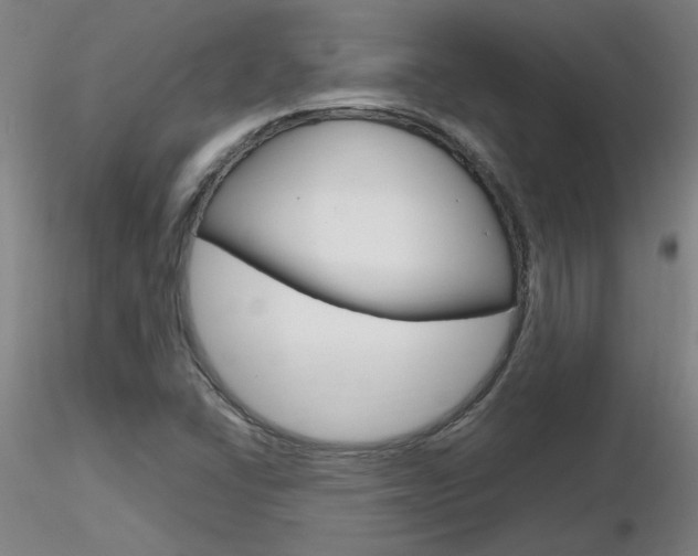 X0000116801406200912181107