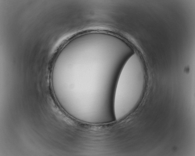 X0000116801408200912181107