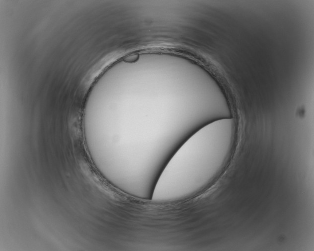 X0000116801409200912181107