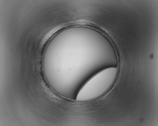X0000116801410200912181107