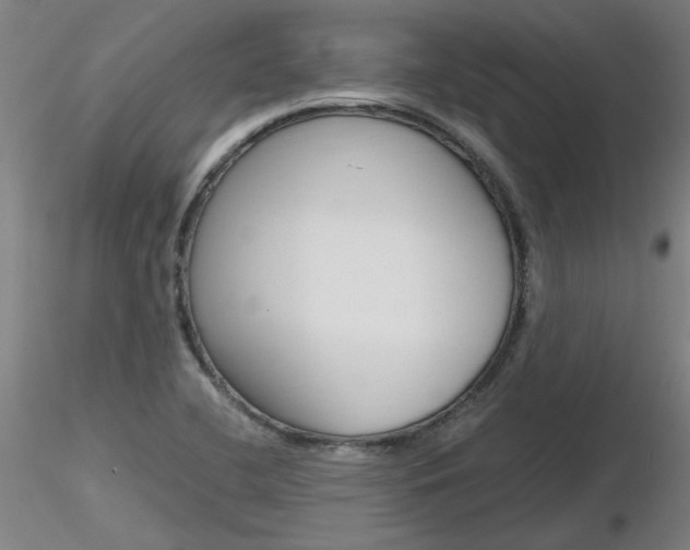 X0000116801412200912181107