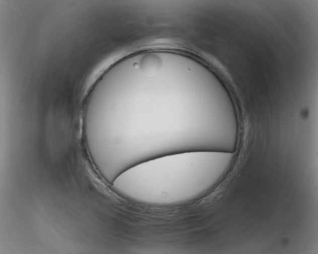 X0000116801413200912181107