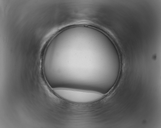 X0000116801414200912181107