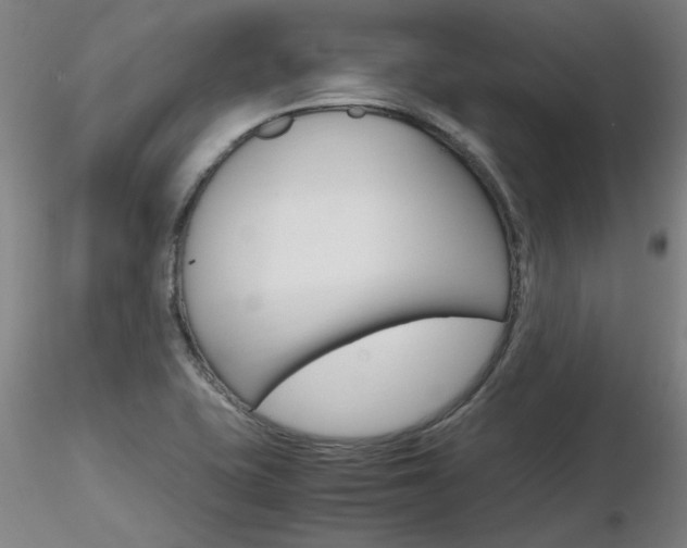 X0000116801415200912181107
