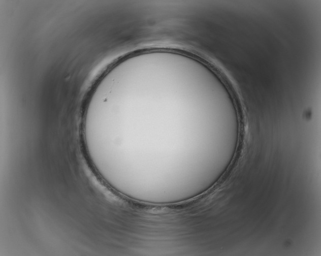 X0000116801416200912181107