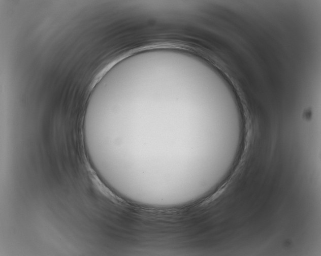 X0000116801417200912181107