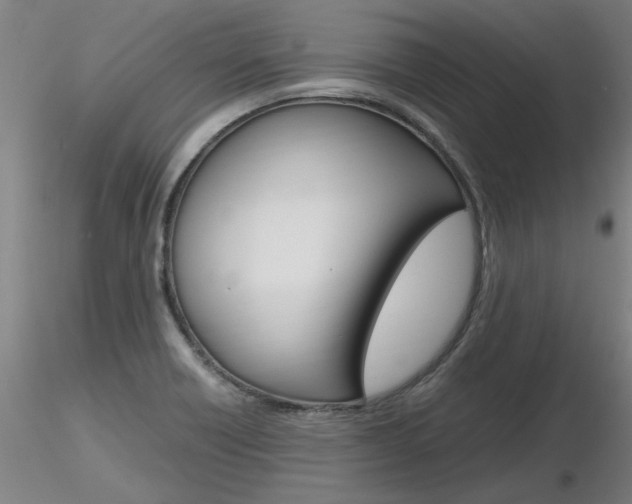 X0000116801418200912181107