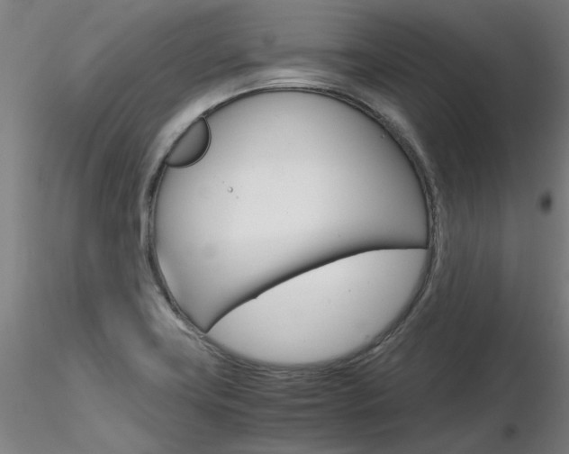 X0000116801419200912181107