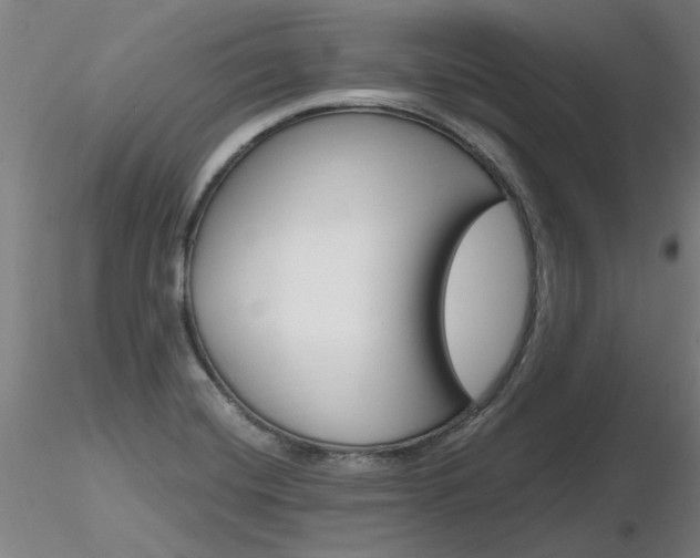 X0000116801420200912181107
