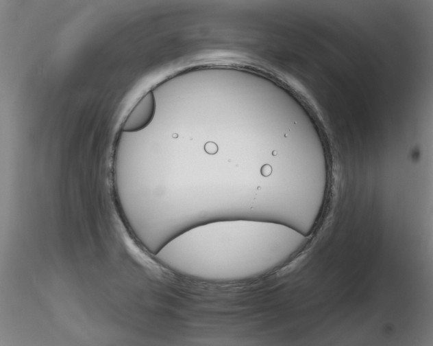 X0000116801421200912181107