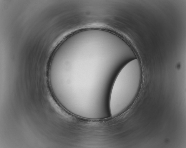 X0000116801422200912181107