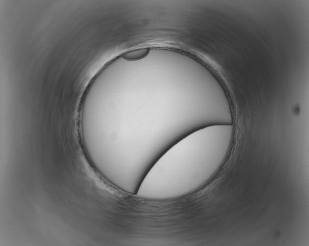 X0000116801423200912181107